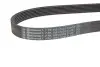 Фото Поліклиновий ремінь (7PK1051) DACIA DOKKER, DUSTER, LODGY LADA VESTA RENAULT CAPTUR I, EXPRESS, FLUENCE, KAPTUR, LOGAN/STEPWAY II, MEGANE IV, SANDERO/STEPWAY II H4M-H4M751 01.13 Contitech (7PK1051ELAST) зображення 3