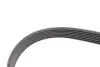 Фото Поліклиновий ремінь (7PK1066) HYUNDAI BAYON, I20 III, I30, KONA, TUCSON KIA CEED, PROCEED, RIO IV, SPORTAGE IV, SPORTAGE V, STONIC, XCEED 1.0H/1.6DH 03.19 Contitech (7PK1066EXTRA) зображення 4