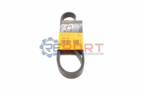 Ремінь генератора BMW 3 (E90)/Opel Movano 2.0i/2.5DTI 03- Contitech 7PK1104 Купити в Україні