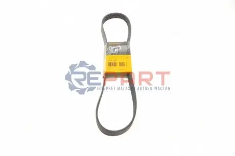Ремінь генератора Renault Master/Opel Movano 2.2/2.5dCi/DTI 01- Contitech 7PK1145 Купити в Україні