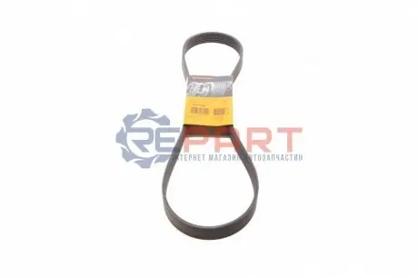 Поліклиновий ремінь NISSAN MICRA IV, NOTE 1.2 05.10 Contitech 7PK1165 Купити в Україні
