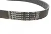 Фото Ремінь генератора Iveco 2.3JTD Contitech (7PK1325) зображення 2
