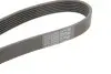 Фото Ремень поликлиновый Contitech (7PK1335) изображение 4