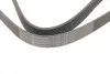 Фото Ремень поликлиновый Contitech (7PK1335) изображение 5