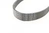 Фото Ремень генератора поликлиновый CONTINENTAL Contitech (7PK1338) изображение 2