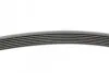 Фото Поліклиновий ремінь MERCEDES C T-MODEL (S205), C (W205) HONDA ACCORD VII LEXUS ES, GS, IS C, IS II, IS III, RC, RX TOYOTA ALPHARD / VELLFIRE, AVALON, CAMRY, CROWN 1.6D-3.5 02.03 Contitech (7PK1549) зображення 2