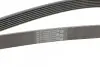 Фото Поліклиновий ремінь MERCEDES C T-MODEL (S205), C (W205) HONDA ACCORD VII LEXUS ES, GS, IS C, IS II, IS III, RC, RX TOYOTA ALPHARD / VELLFIRE, AVALON, CAMRY, CROWN 1.6D-3.5 02.03 Contitech (7PK1549) зображення 3
