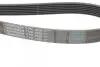 Фото Ремень генератора поликлиновый CONTINENTAL Contitech (7PK1629) изображение 3