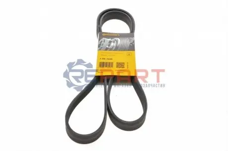 Ремінь генератора BMW 5 (E39)/7 (E38)/X5 (E53) 3.5/4.4 90-03 M62 Contitech 7PK1629 Купити в Україні