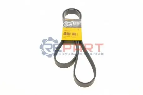Дорожный пас Contitech 7PK1675 Купить в Украине