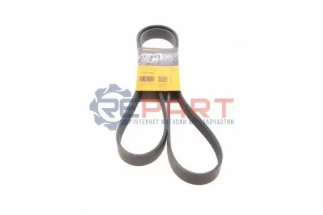 Фото Ремінь генератора BMW 7 (E65/E66/E67) M67 4.0/4.5D 02-08/Honda Accord 2.0 03-08 Contitech (7PK1760) зображення 1