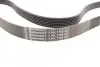 Фото Ремінь генератора Renault Master/Opel Movano 2.5 dCi 03- (+AC) Contitech (7PK1795) зображення 2