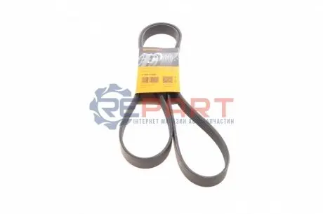 Фото Ремінь генератора Renault Master/Opel Movano 2.5 dCi 03- (+AC) Contitech (7PK1795) зображення 1