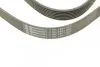 Фото Поліклиновий ремінь LAND ROVER DEFENDER, DISCOVERY II 2.5D 06.98-02.16 Contitech (7PK1801) зображення 4