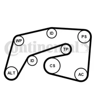 Комплект поликлинових ременів (з роликами) MERCEDES C (W203), C (W204), C T-MODEL (S203), C T-MODEL (S204), CLK (A209), CLK (C209), CLS (C218), CLS (C219), E (A207), E (C207) 3.0D 01.05 Contitech 7PK2035K1