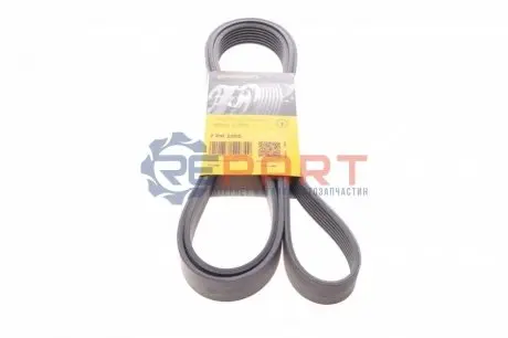 Ремінь генератора Hyundai H-1/Kia Sorento 2.5 CRDI 06- Contitech 7PK2255 Купити в Україні