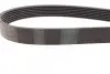 Фото Поліклиновий ремінь MERCEDES E (W211), G (W463), M (W163), S (W220, V220) HYUNDAI H-1 CARGO KIA SORENTO I 2.5D/4.0D 12.00 Contitech (7PK2271) зображення 3