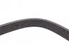 Фото Поліклиновий ремінь MERCEDES E (W211), G (W463), M (W163), S (W220, V220) HYUNDAI H-1 CARGO KIA SORENTO I 2.5D/4.0D 12.00 Contitech (7PK2271) зображення 4