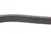 Фото Поліклиновий ремінь AUDI A8 D3, A8 D4 VW PHAETON 3.7/4.2/6.3 10.02-01.18 Contitech (7PK2535) зображення 2