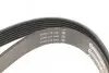 Фото Поліклиновий ремінь FORD TRANSIT 2.4D/3.2D 04.06-08.14 Contitech (7PK2682) зображення 3