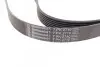 Фото Поліклиновий ремінь FORD TRANSIT LAND ROVER DISCOVERY II 2.4D/4.0 11.98-08.14 Contitech (7PK2710) зображення 2