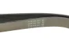 Фото Поліклиновий ремінь FORD TRANSIT 2.4D/3.2D 04.06-08.14 Contitech (7PK2842) зображення 3