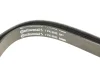 Фото Поліклиновий ремінь FORD TRANSIT 2.4D/3.2D 04.06-08.14 Contitech (7PK2842) зображення 4