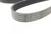 Фото Ремень генератора поликлиновый CONTINENTAL Contitech (7PK2958) изображение 4