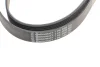 Поликлиновый ремень Contitech (7PK3120) изображение 4