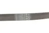 Фото Поліклиновий ремінь (7PK994) HYUNDAI IONIQ, KONA KIA CEED, NIRO, NIRO I, XCEED 1.6H 03.16 Contitech (7PK994 EXTRA) зображення 5