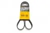 Ремень генератора поликлиновый CONTINENTAL 8PK1226