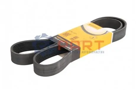 Поліклиновий ремінь Contitech 8PK1371 Купити в Україні