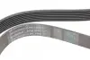Фото Ремінь генератора MB Atego 96- OM904 Contitech (8PK1480) зображення 3