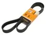 Дорожный пас Contitech (8PK1545) изображение 1