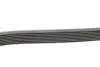 Фото Поліклиновий ремінь MERCEDES S (W140) CLAAS ARES 3.2 03.91 Contitech (8PK2440) зображення 2