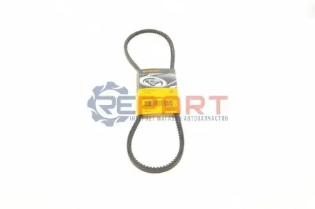 Фото 1 — Ремінь генератора Opel Omega A/Vectra A 1.8/2.0 86-94 Contitech (AVX10X1000) Фото Ремінь генератора Opel Omega A/Vectra A 1.8/2.0 86-94 Contitech (AVX10X1000) зображення 1