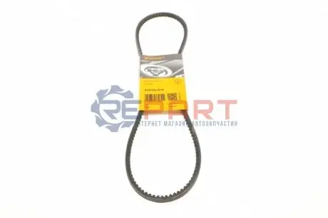 Ремень генератора BMW 3 (E30)/5 (E34) (10X1013) (M40) Contitech AVX10X1013 Купити в Україні