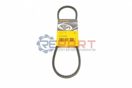 Фото Ремень клиновой генератора Contitech (AVX10X800) изображение 1