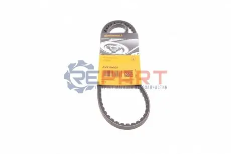 Фото 1 — Ремінь генератора Opel Astra/Fiat Ducato 1.8/2.0 81- Contitech (AVX10X925) Фото Ремінь генератора Opel Astra/Fiat Ducato 1.8/2.0 81- Contitech (AVX10X925) зображення 1