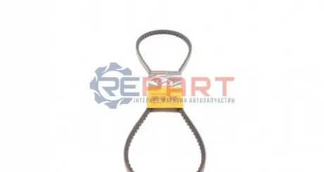 Фото 1 — Ремінь генератора VW T4 2.4D Contitech (AVX13X1325) Фото Ремінь генератора VW T4 2.4D Contitech (AVX13X1325) зображення 1