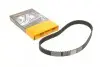 Ремінь ГРМ Daewoo Matiz/Mitsubishi Colt/Lancer VII/Chevrolet Aveo 1.0-1.6 95-13 (25x109z) CT1008