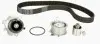 Комплект ГРМ + помпа Seat Ibiza 1.9 TDI/VW Polo 1.4/1.9 TDI 01-09 CT1028WP1