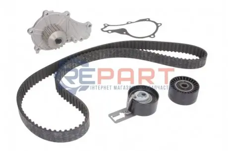 Фото 1 — Комплект ГРМ + помпа Citroen Berlingo/Jumpy 1.6HDI 10- (z=141) Contitech (CT1162WP4) Фото Комплект ГРМ + помпа Citroen Berlingo/Jumpy 1.6HDI 10- (z=141) Contitech (CT1162WP4) зображення 1