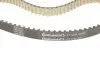 Ремінь ГРМ CITROEN C5 III, C6 JAGUAR XF I, XF SPORTBRAKE, XJ LAND ROVER DISCOVERY IV, RANGE ROVER IV, RANGE ROVER SPORT I, RANGE ROVER SPORT II PEUGEOT 407 3.0D/3.0DH 03.09 Contitech (CT1239) зображення 3