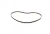 Фото Ремінь ГРМ FIAT UNO OPEL ASCONA B, ASCONA C, CORSA A, CORSA A TR, CORSA B, KADETT D, KADETT E, KADETT E COMBO, MANTA B 1.0/1.1/1.3 03.79-08.02 Contitech (CT504) зображення 4