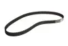 Ремінь ГРМ HONDA CITY I, JAZZ I MG MAESTRO RENAULT CLIO IV, MODUS SUZUKI SWIFT II 1.0-2.0 11.80-08.21 Contitech (CT569) зображення 1