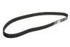 Ремень ГРМ Contitech (CT592) изображение 1