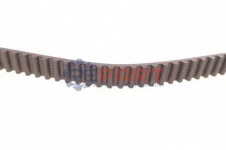 Ремінь ГРМ SEAT CORDOBA, CORDOBA VARIO, IBIZA II TRABANT 1.1 VW GOLF II, GOLF III, JETTA II, POLO, POLO CLASSIC, POLO II, VENTO 1.0-1.4 08.83-12.02 Contitech CT629 Купити в Україні