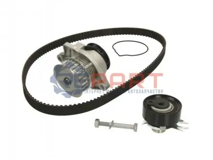 Комплект ГРМ (ремінь + ролик + водяний насос) SEAT AROSA, CORDOBA, IBIZA II VW GOLF III, LUPO I, POLO, POLO III, POLO III CLASSIC 1.0/1.4/1.7D 10.91-07.05 Contitech CT846WP1 Купити в Україні