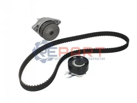 Фото 1 — Комплект ГРМ + помпа VW Caddy/Golf/Seat Ibiza/Skoda Octavia 1.6 92-04 (19x137z) Contitech (CT847WP1) Фото Комплект ГРМ + помпа VW Caddy/Golf/Seat Ibiza/Skoda Octavia 1.6 92-04 (19x137z) Contitech (CT847WP1) зображення 1